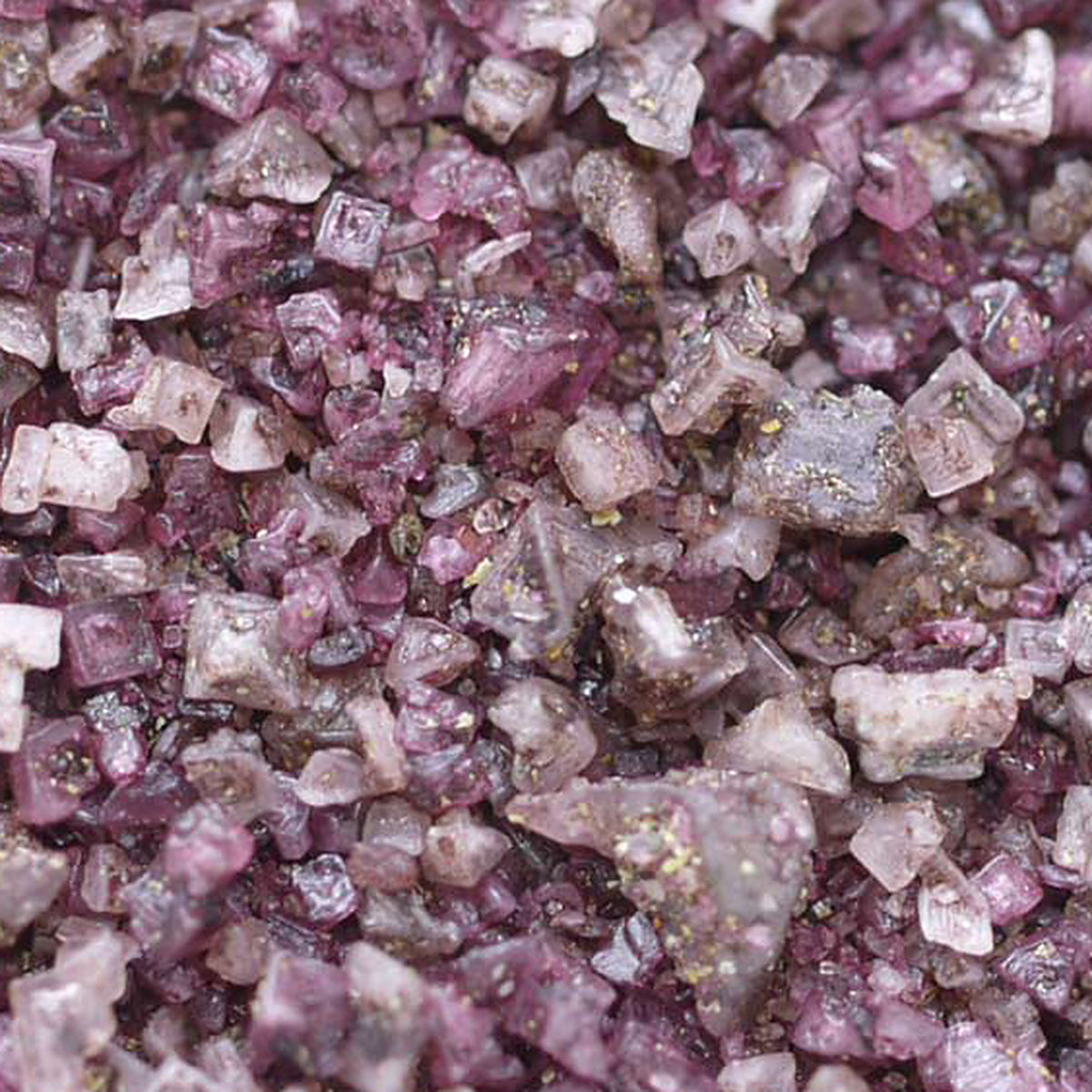 Close-up of Wine Salt by Place des Épices