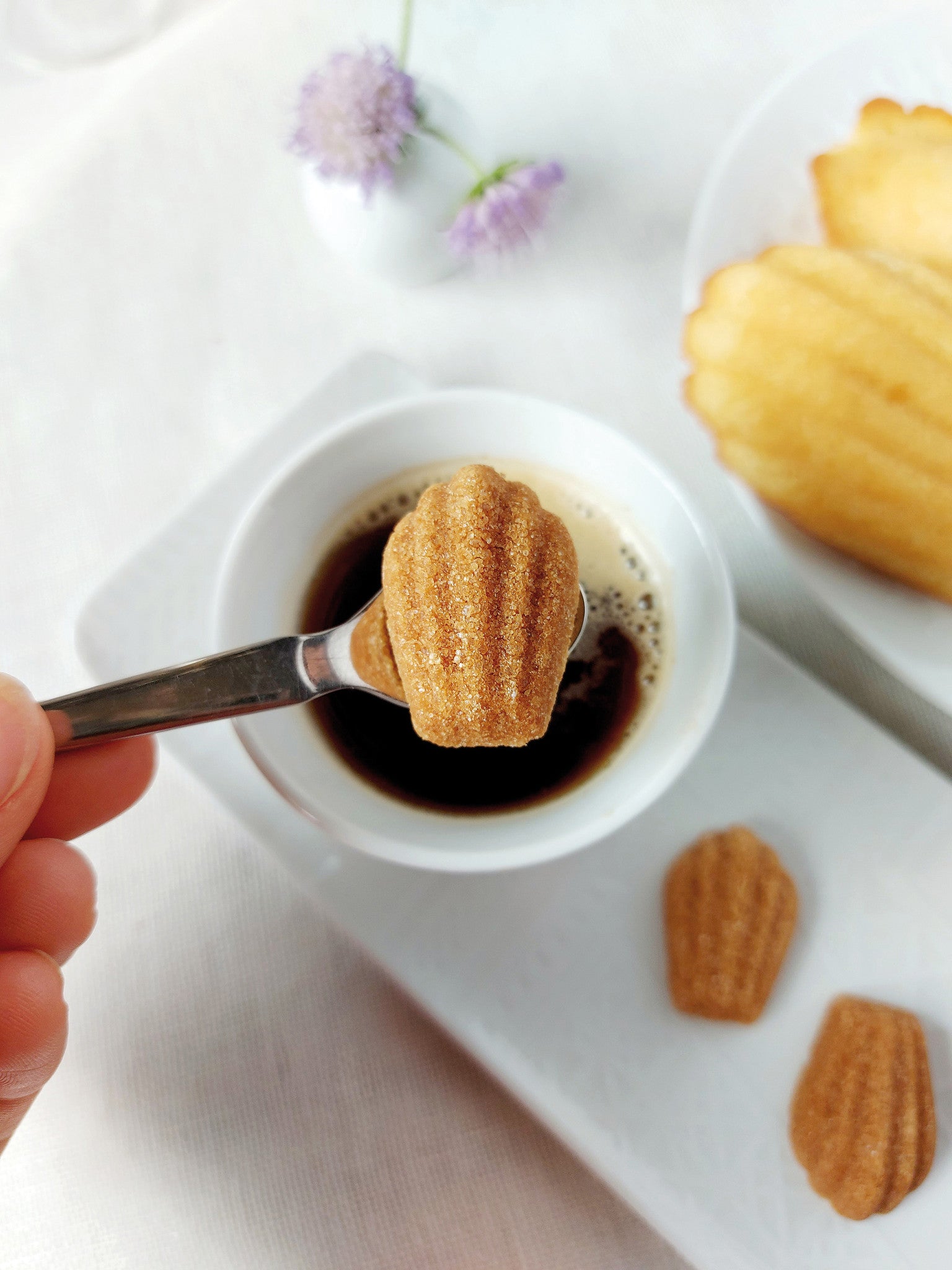 Sucre en forme de madeleine Goûter à Paris Canasuc sur une cuillère, au-dessus d’une tasse de café