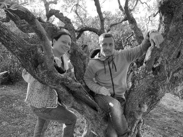 Domaine Salvator