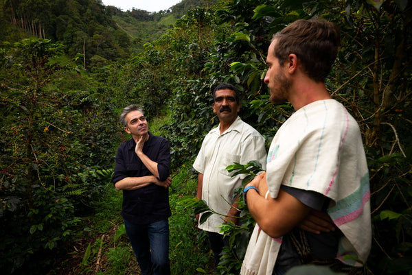 Terres de Café